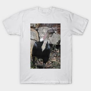 Andean Condor T-Shirt